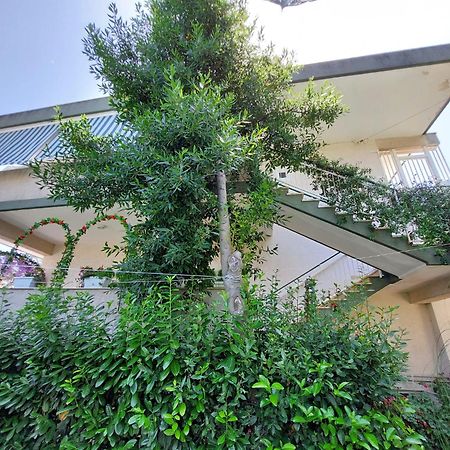 Casa Di Sofia Hotel Castellana Grotte Eksteriør billede
