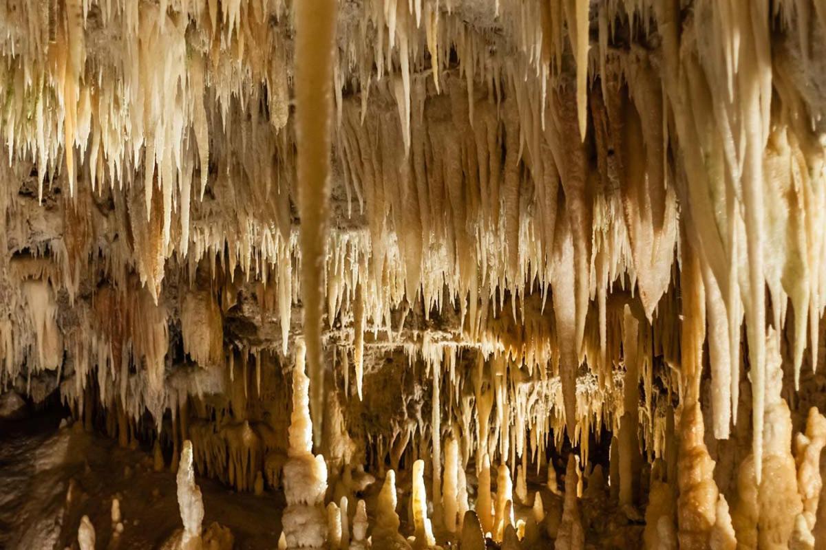 Casa Di Sofia Hotel Castellana Grotte Eksteriør billede