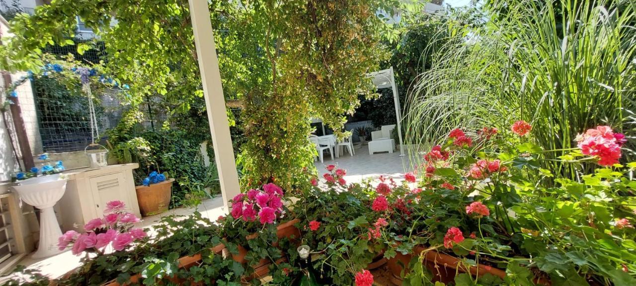 Casa Di Sofia Hotel Castellana Grotte Eksteriør billede